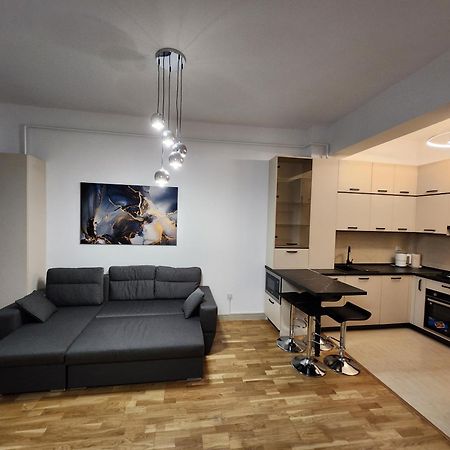Near Airport 2 Rooms Apartments In Himson Iasi Exterior foto